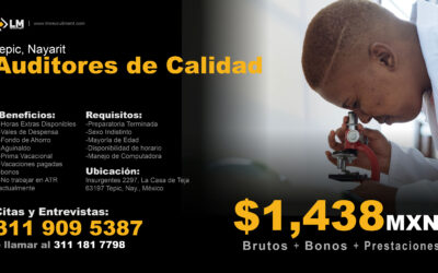 Trabajo de Auditor de Calidad en Tepic